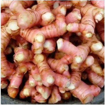 

( Hemat ) Lengkuas / Laos Biasa Bumbu Masak 1kg