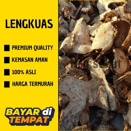 

LENGKUAS KERING 1 KG MURAH MERIAH