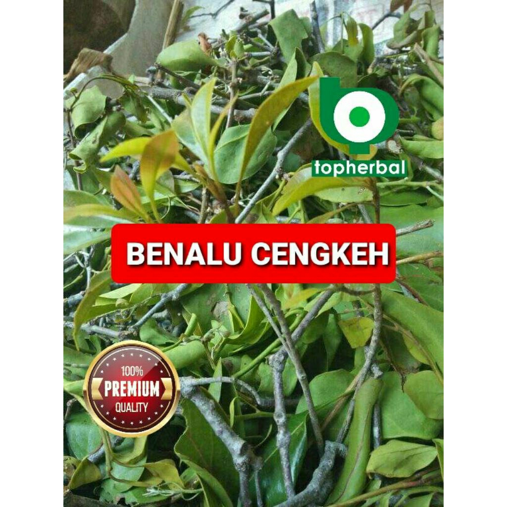

Daun benalu cengkeh kering hijau grade A+ 1/2kg/500gram