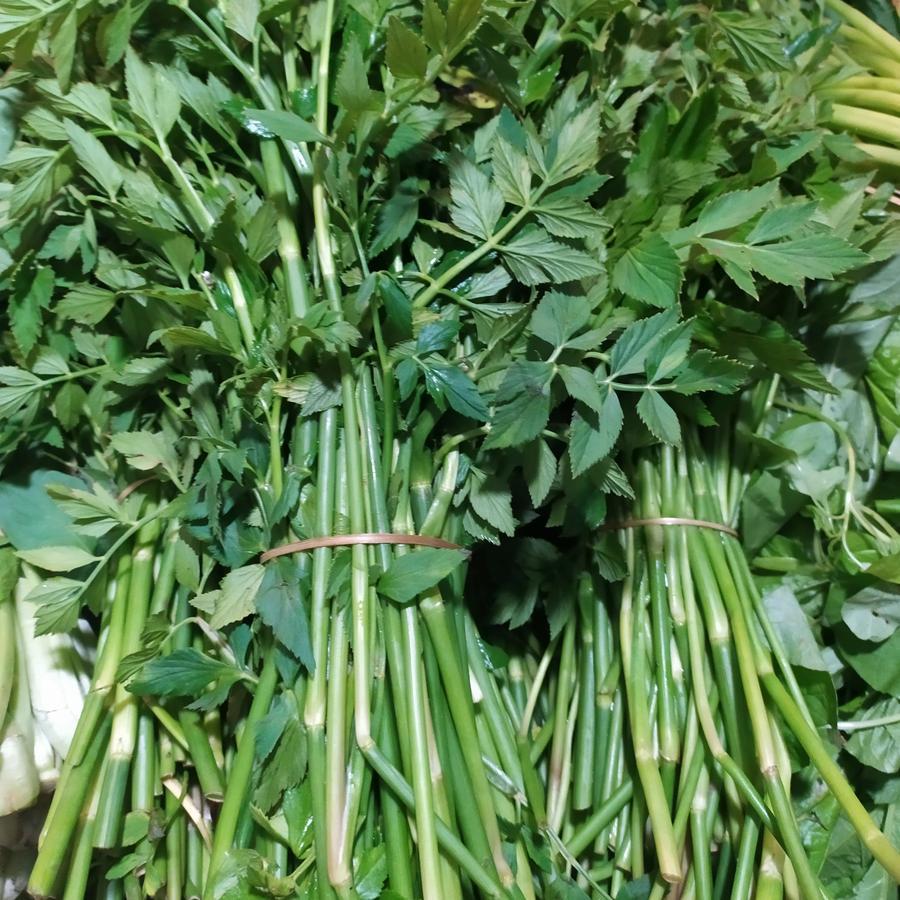 

NEW.. lalapan sayur tespong seladren daun tespong 250gram