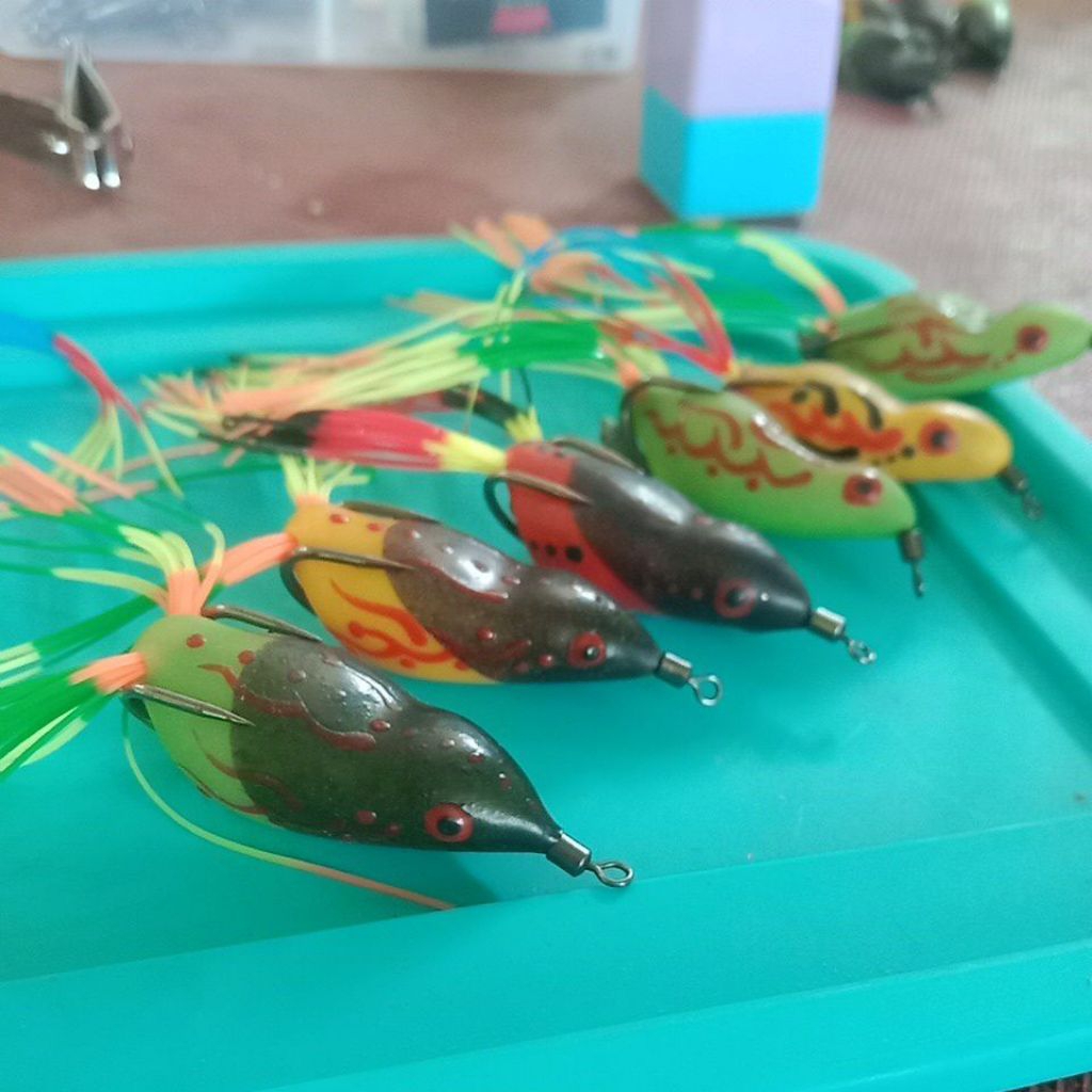 sofrog skrit ngesot 4cm