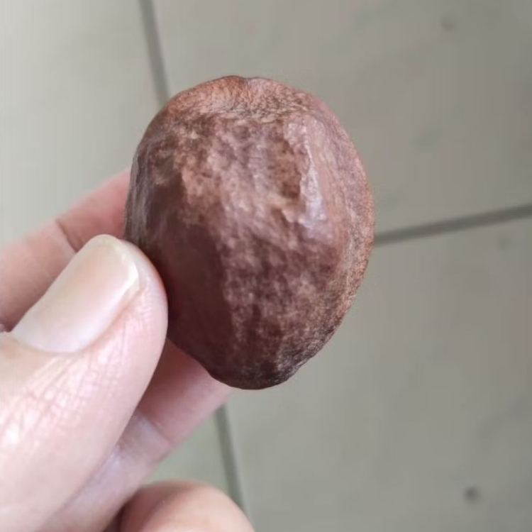 Kemiri Adu Muncang Adu Jayanti Si Raden Ori Malangbong