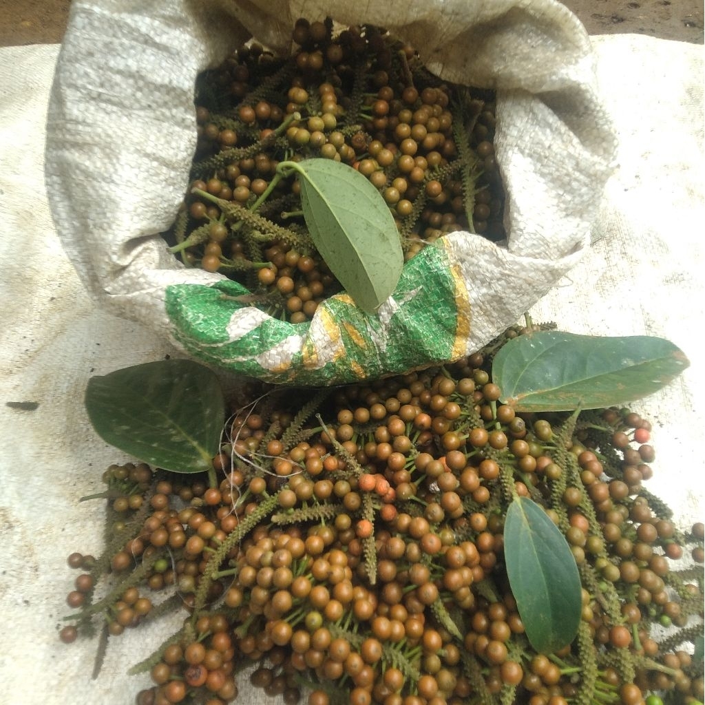 

buah kemukus/rinu per 1kg