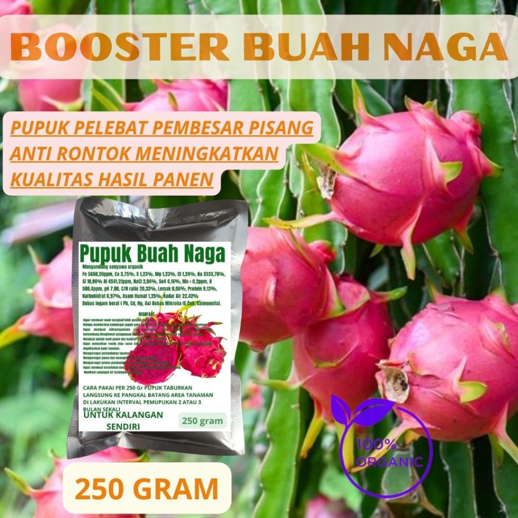 MO Pupuk Booster pelebat buah naga 250 GR serta penyubur tanaman buah naga booster buah naga organik