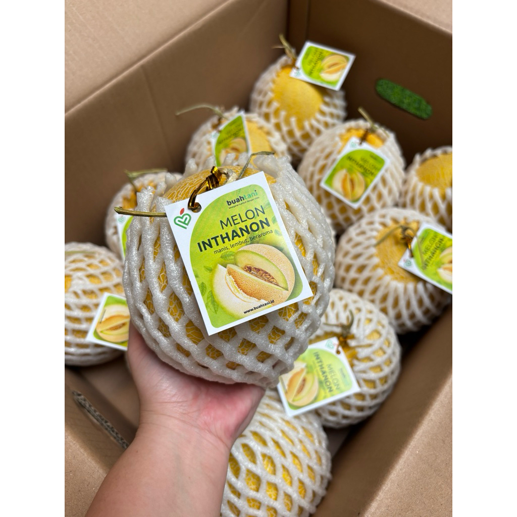 

Buah Melon Inthanon