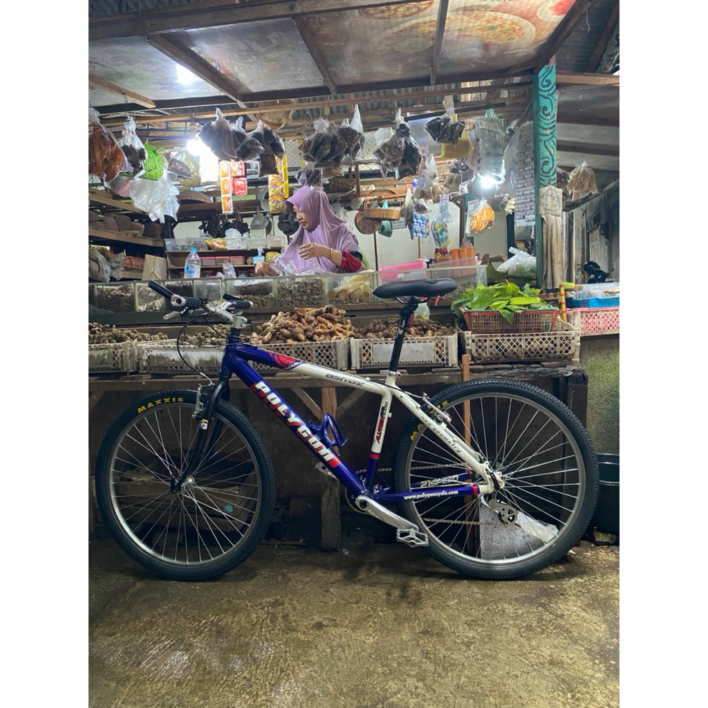 FRAME SET POLYGON ASTROZ