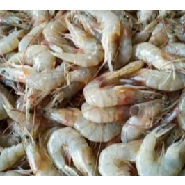 

Udang Putih Besar Medan Daily Market