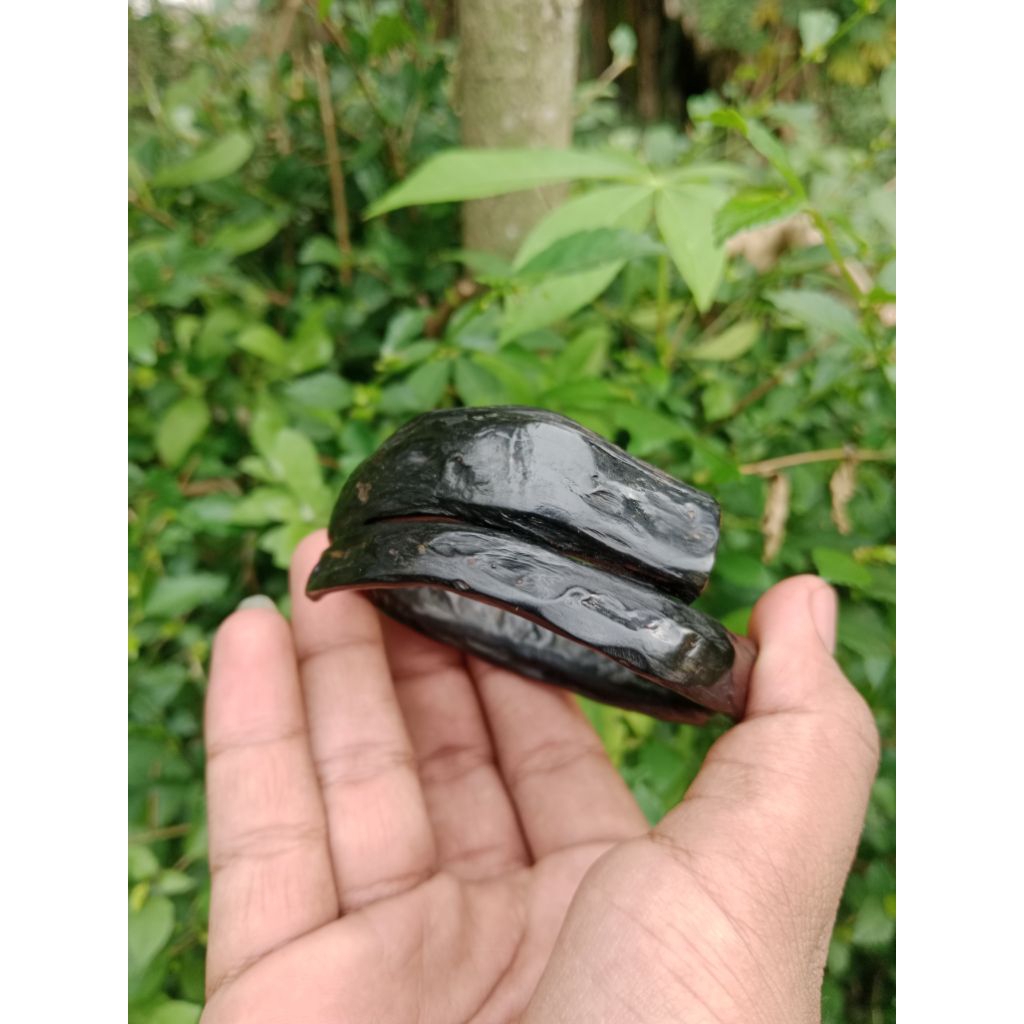 gelang akar bahar hitam jumbo asli