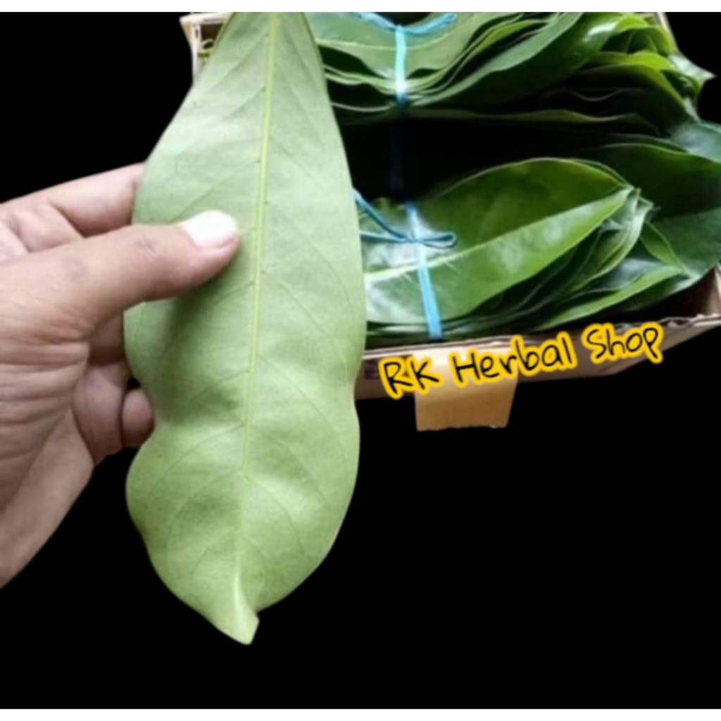

herbal daun sirsak segar 100 gram