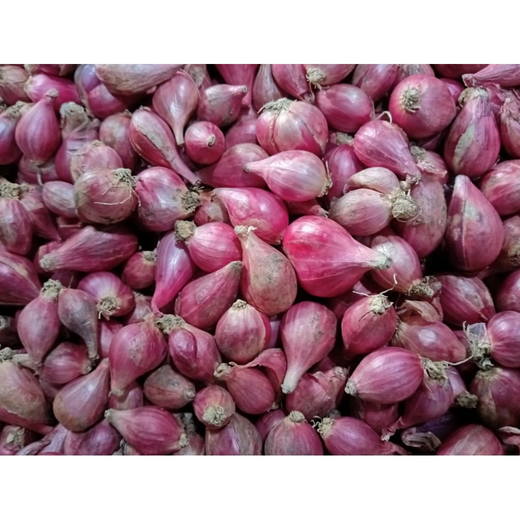 

Bawang Merah Brebes Fresh