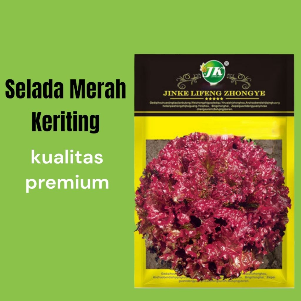 

selada merah keriting kemasan ori pabrik