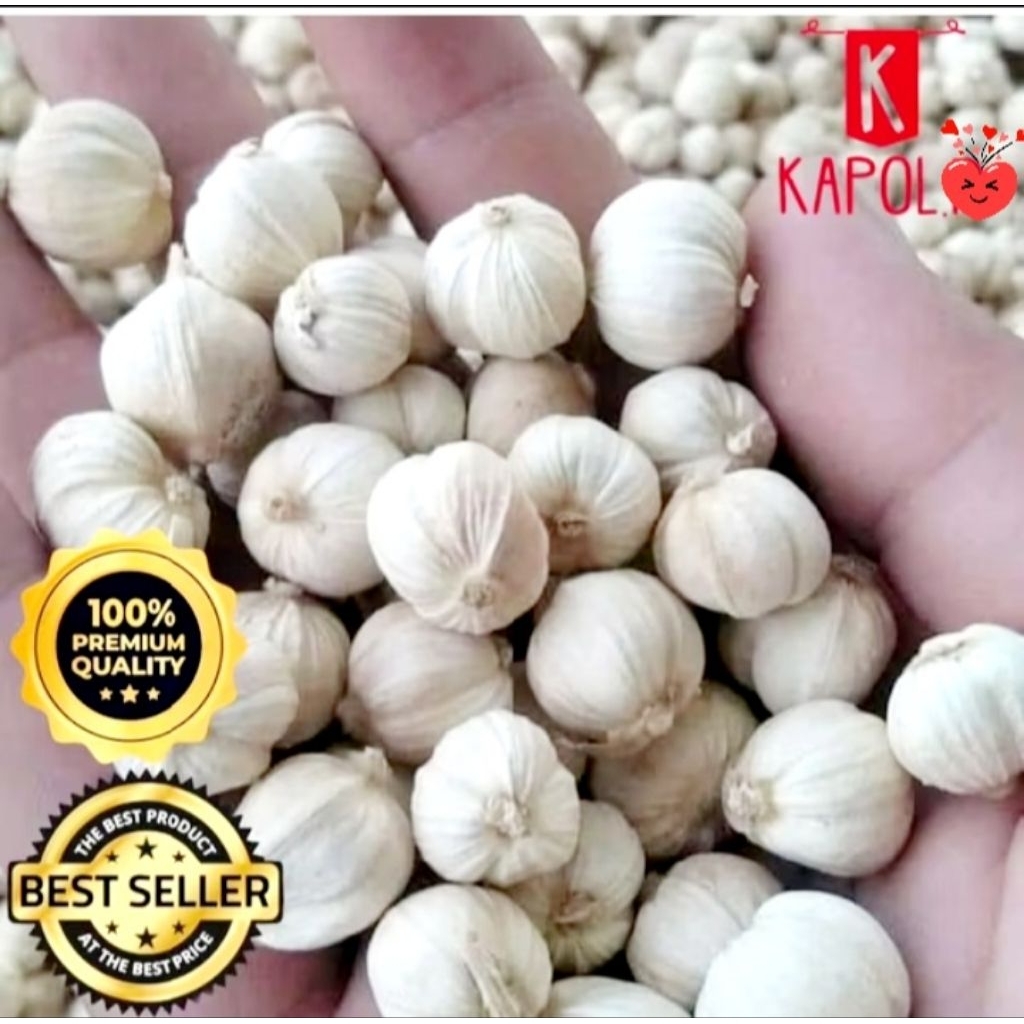 

Kapol Laga Remaph Rempah /Bumbu 500 Gram