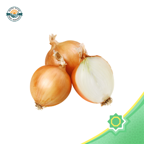 

Bawang Bombay Pilihan 1 Pcs | NutriSayur | Wajib Ada di Dapurmu!