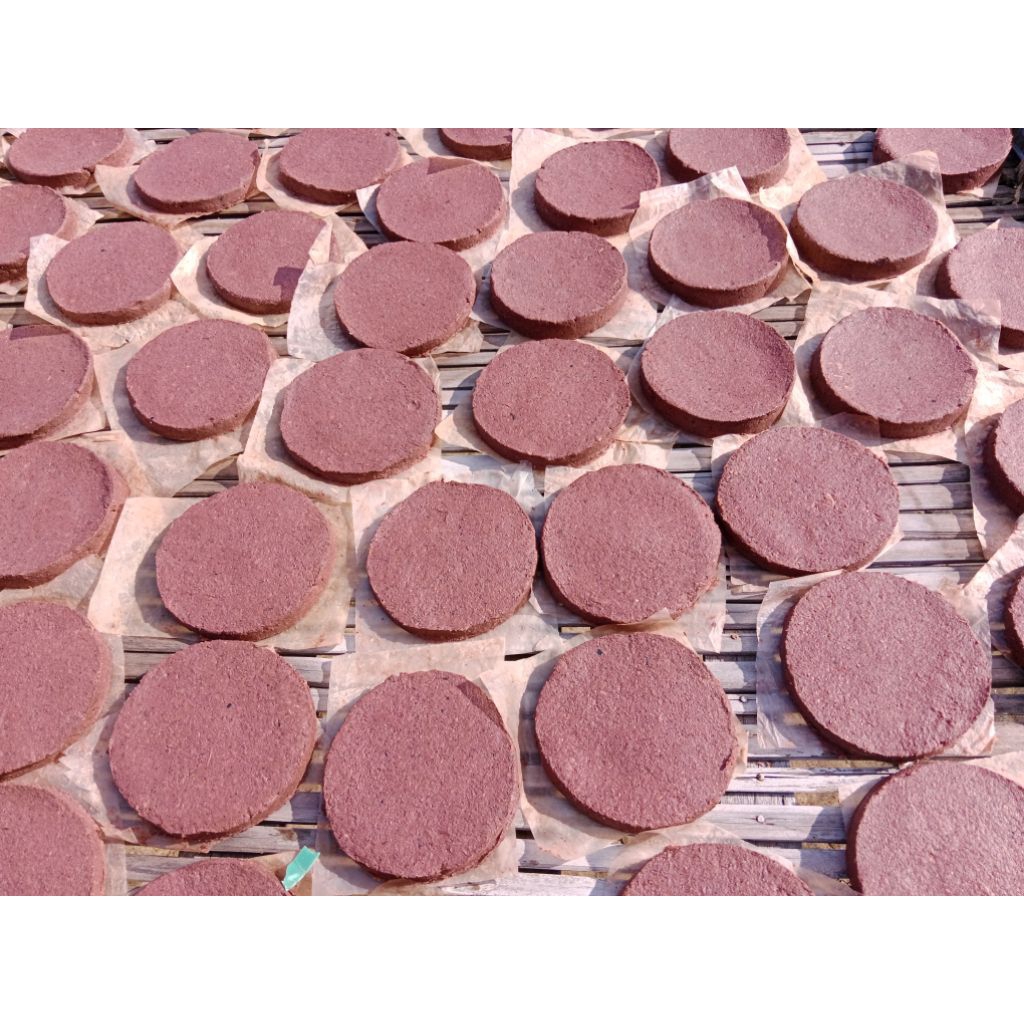 

TERASI UDANG GEPENG SUPERTERASI MAYANAGAN ISI 10 PC 100% ASLI MADURA