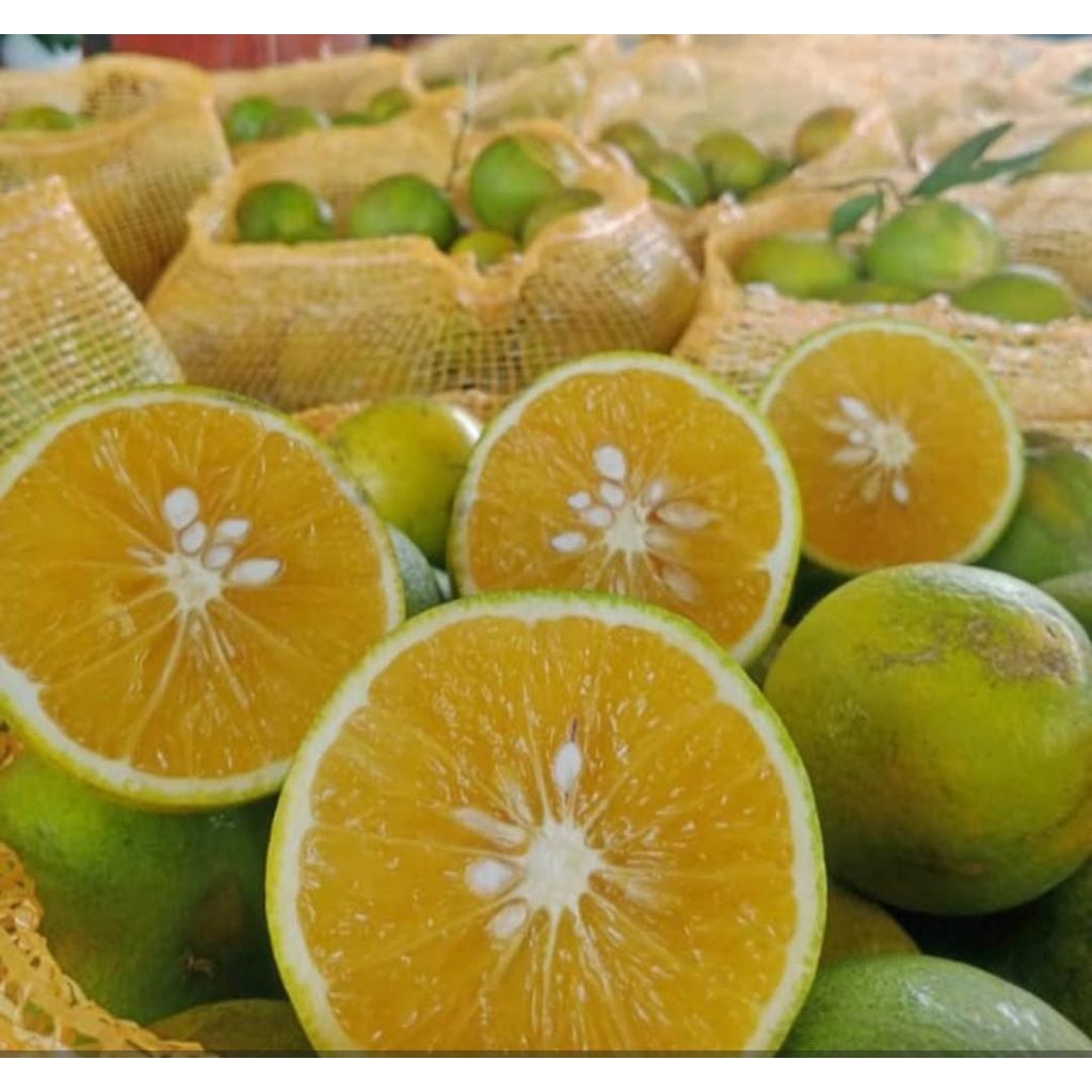 

jeruk baby Java kemasan 1 kg