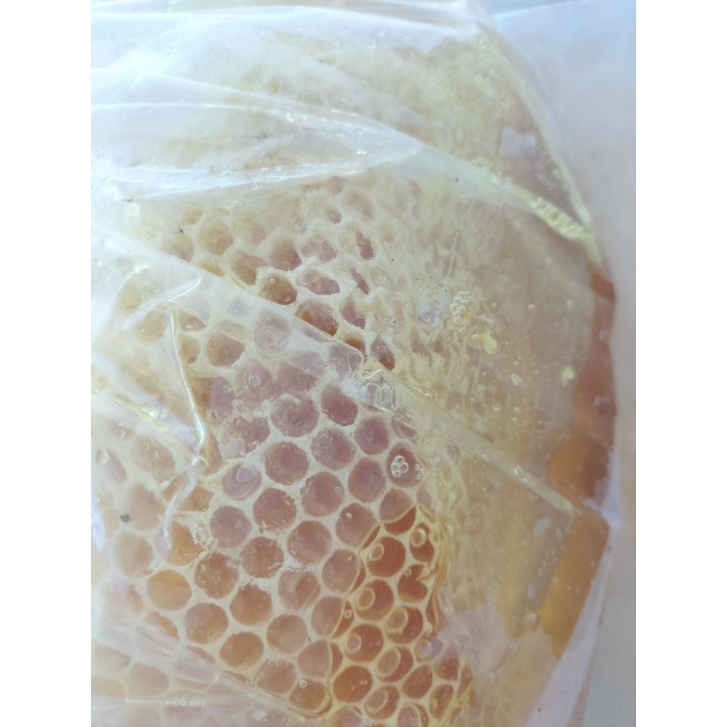 

Madu Odeng asli (Sarang Madu) 500 gr/Madu Odeng/madu hutan/