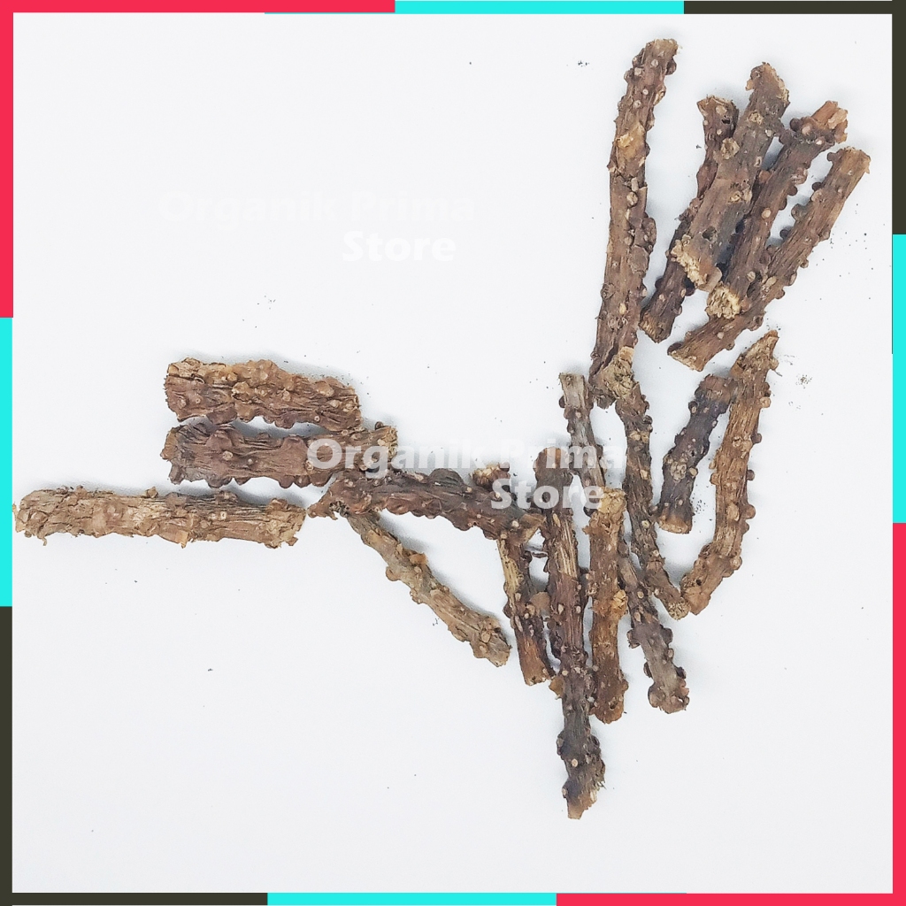 

Brotowali Kering 250gr Bratawali Asli Pahit dan Organik