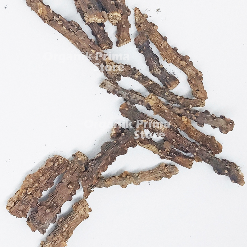 

Brotowali Kering 500gr Bratawali Asli Pahit dan Organik