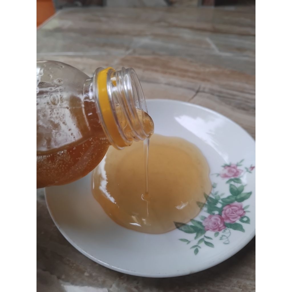 

Madu Klanceng Madu Biasa Mentah 100% Murni Tanpa Campuran