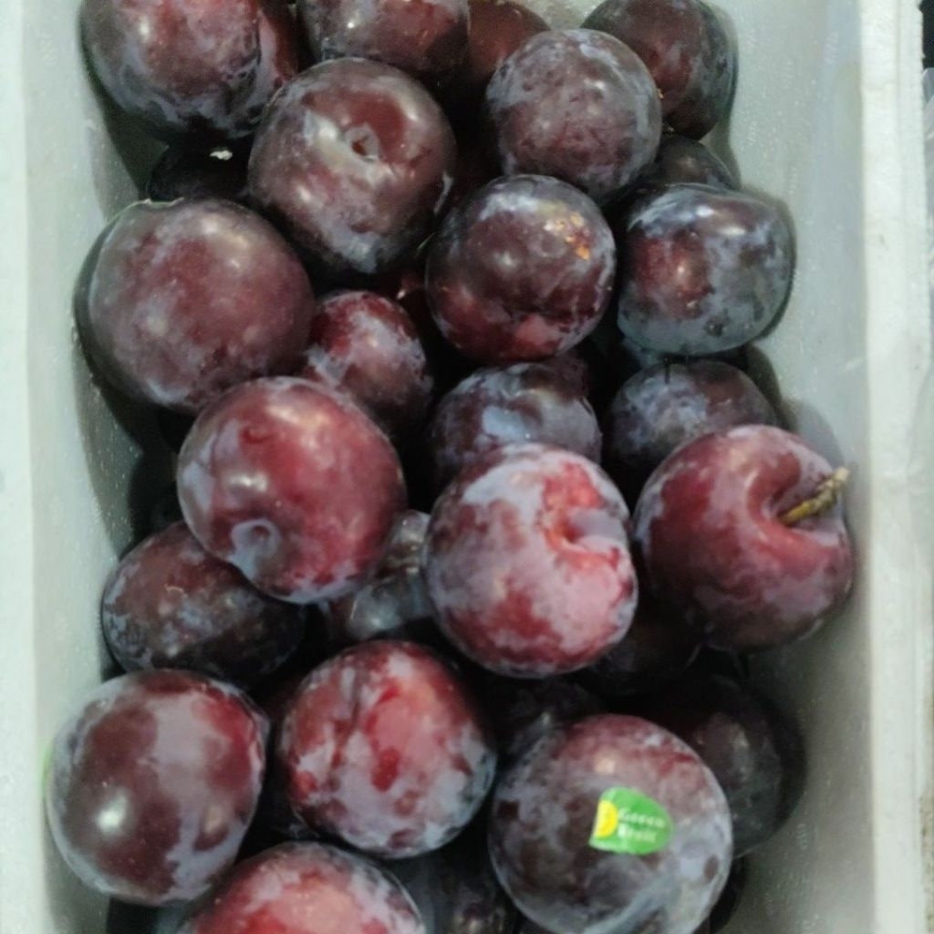 

Buah Plum Segar 1Kg Fresh√