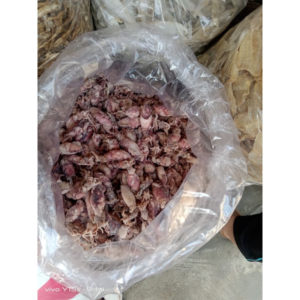 

cumi telor asin kualitas Premium