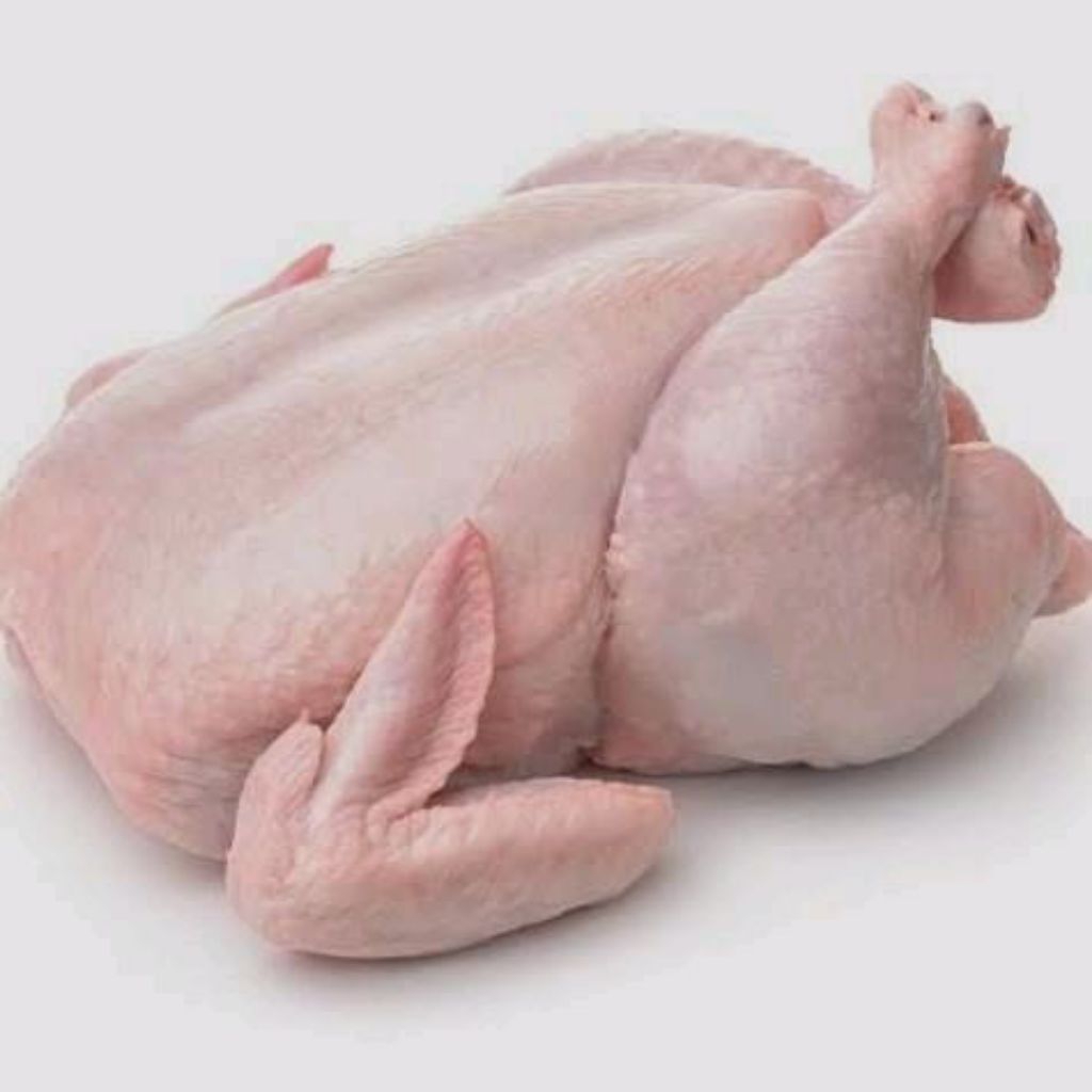 

Ayam Broiler 800-900 gr