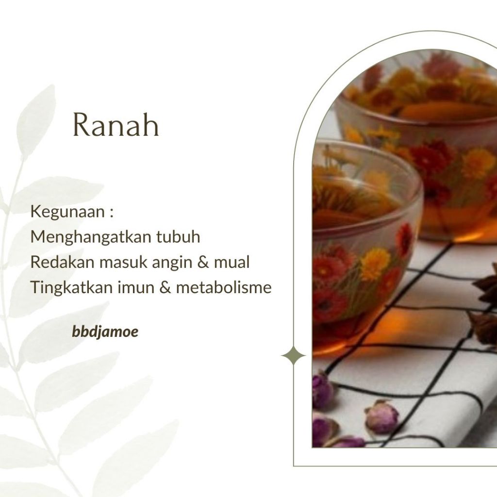 

bbdjamoe | Ranah herbal drink 100% alami Jahe + Kayumanis sehat, healthy, jamu, detox alami, immunity booster