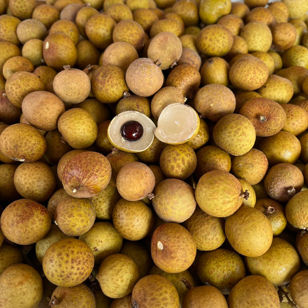 

KELENGKENG LONGAN JUMBO lengkeng 1 KG MANIS SEGER MURAH