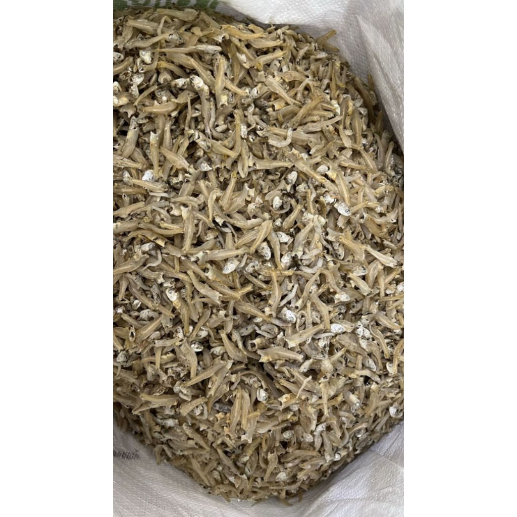 

Teri Bulat Sungsang Bersih Kualitas Premium ♛