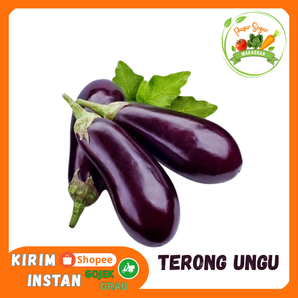 

Terong Ungu / Terong Panjang perbiji - Pasar Online Makassar