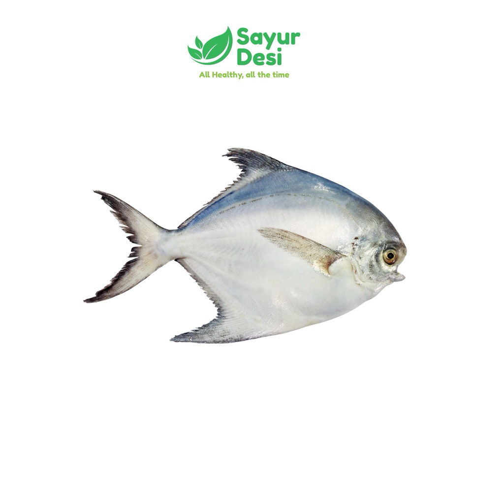 

Ikan Bawal 500 Gram Sayur Desi