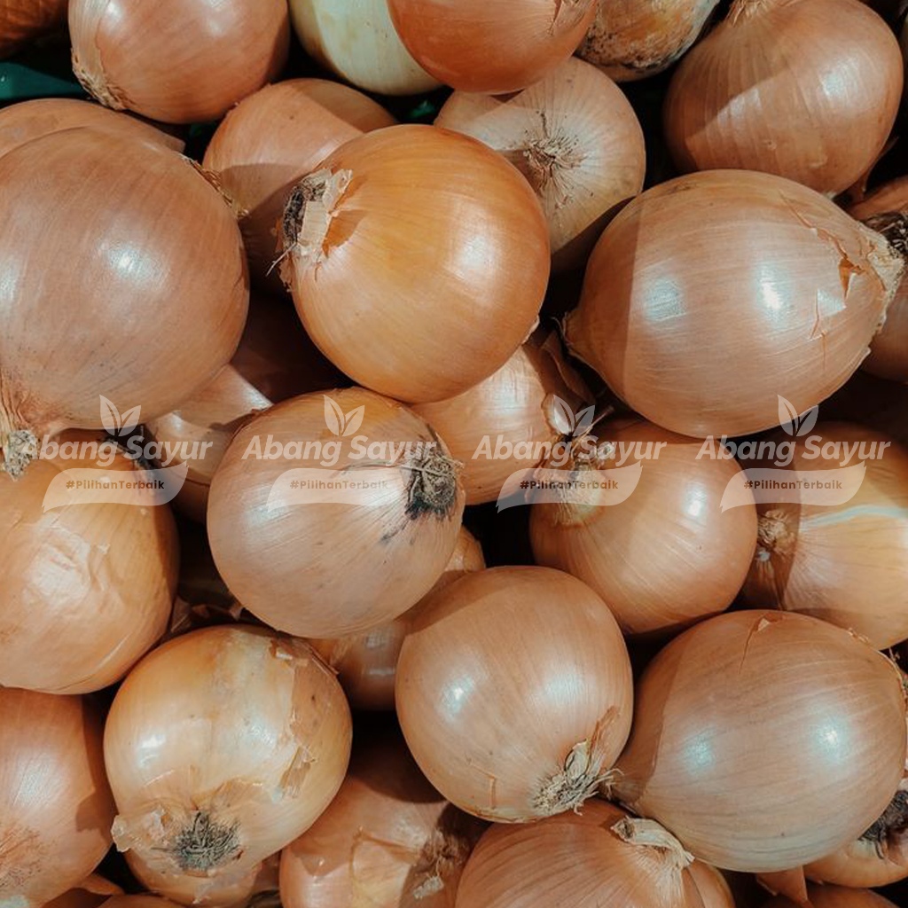 

Bawang Bombay Segar 500gr – Kirim Instant Bandung (Fresh Harian) - Aromatik & Cocok untuk Tumisan