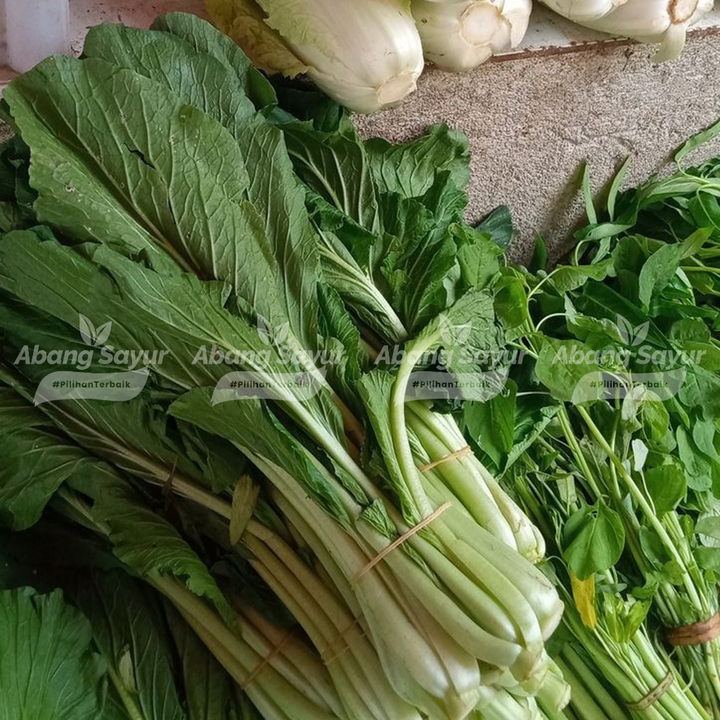 

Caisim Sawi Hijau / Sosin Segar 250gr / 500gr – Sayur Segar Bandung (Fresh Harian) - Favorit untuk Mi & Tumisan