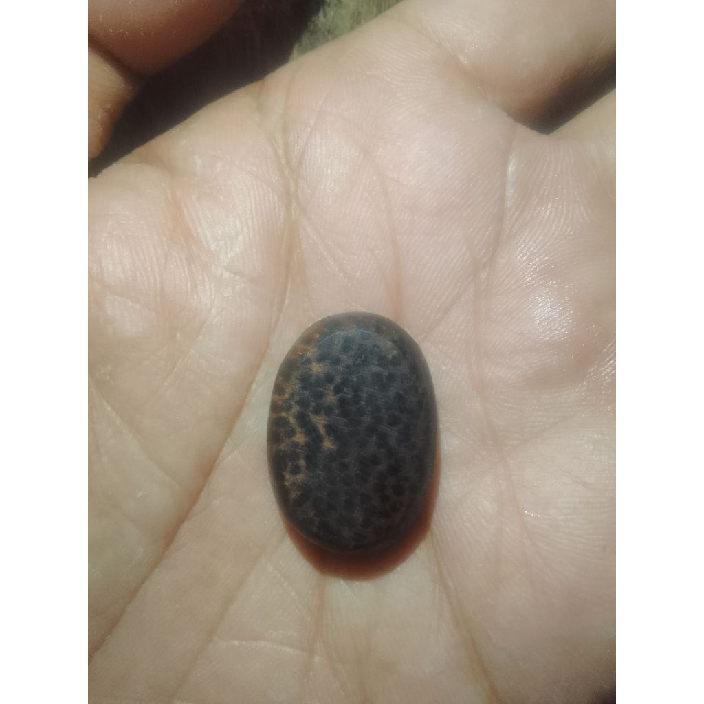 mata cincin bertuah galih kayu Pucang Kalak original