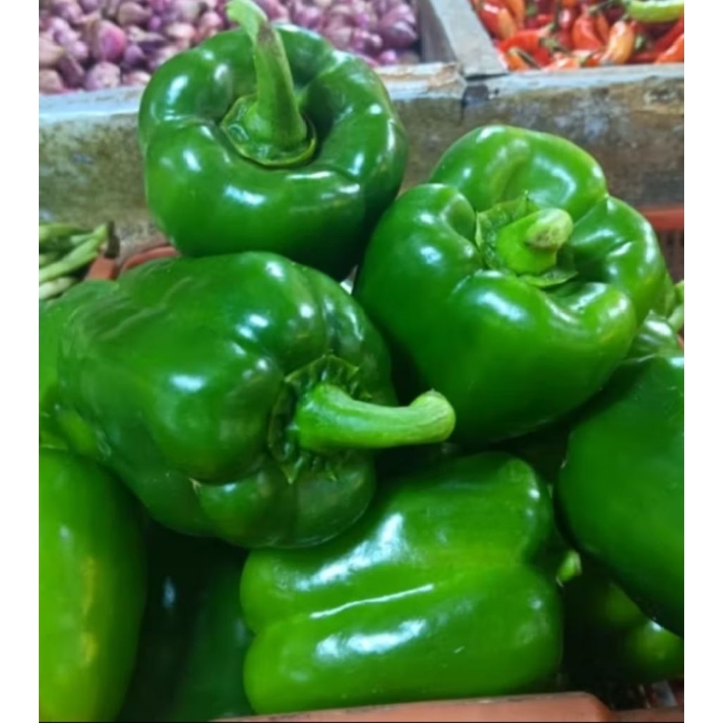 

paprika hijo segar 250gr