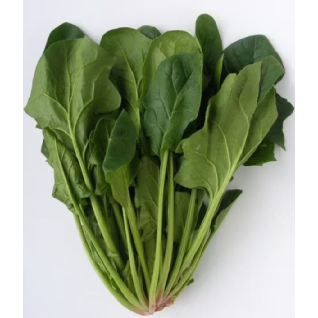 

poling / bayam jepang 250gr