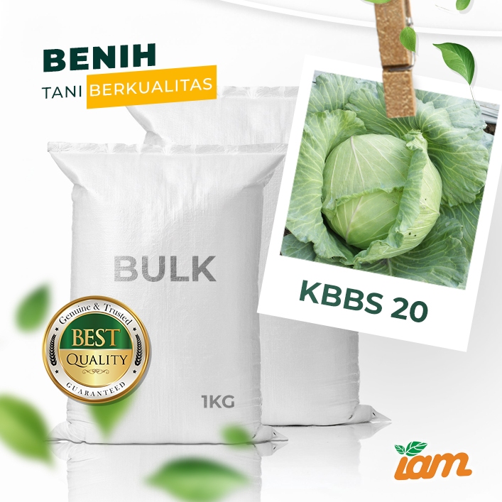 

BULK 1kg – KUBIS F1 (KBBS 20)