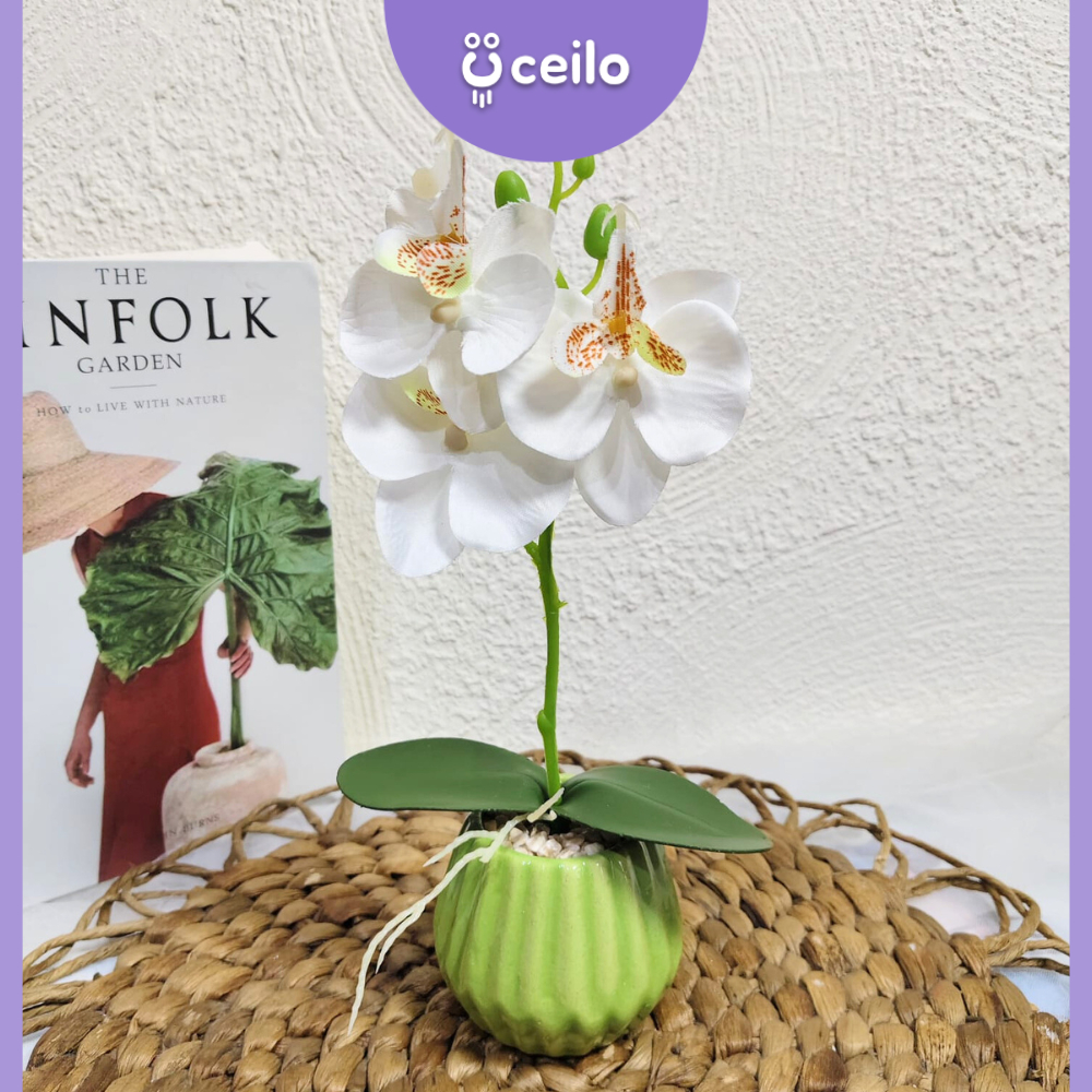CEILO anggrek kain 1 set pot | Anggrek Artificial | Bunga Hias Anggrek | Anggrek Palsu