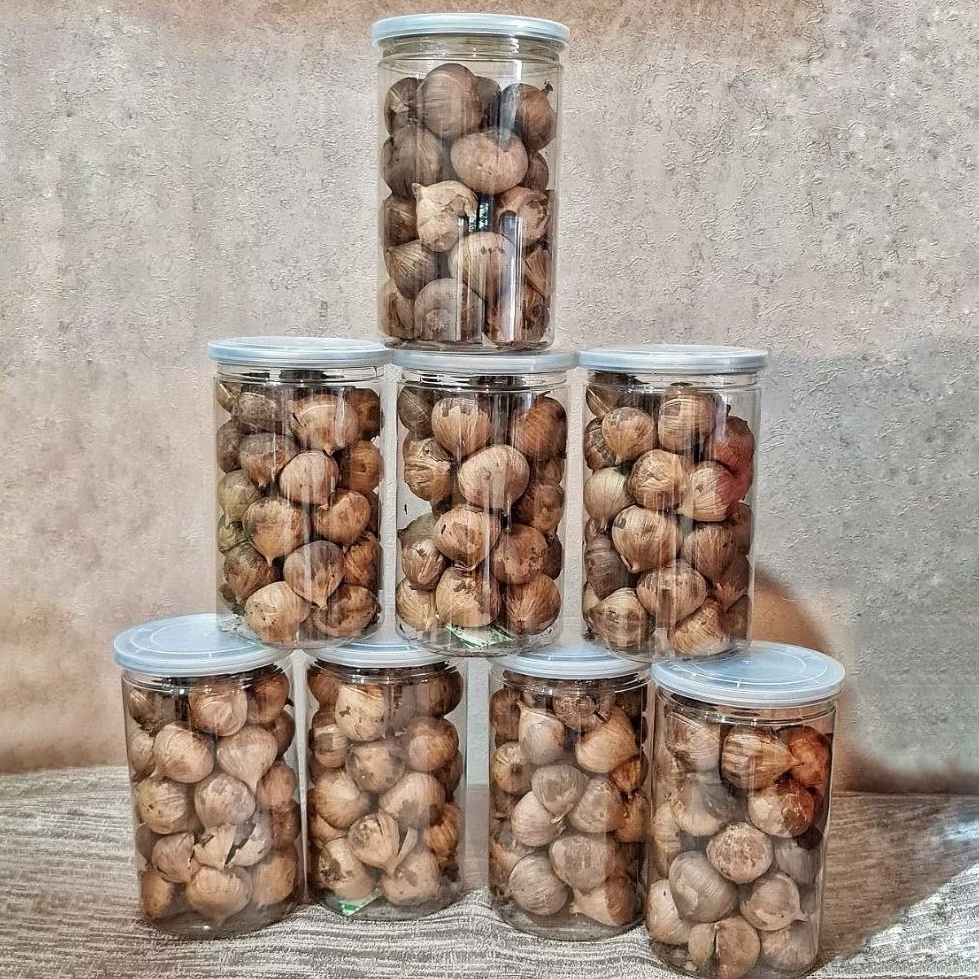 

BLACK GARLIC TUNGGAL PREMIUM QUALITY – BAWANG HITAM SIAP KONSUMSI, SOLO GARLIC FERMENTASI ALAMI TANPA PENGAWET SUPERFOOD