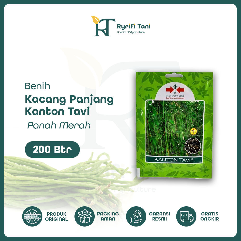 Panah Merah - Benih Kacang Panjang Kanton Tavi 200 Butir Cap Panah Merah