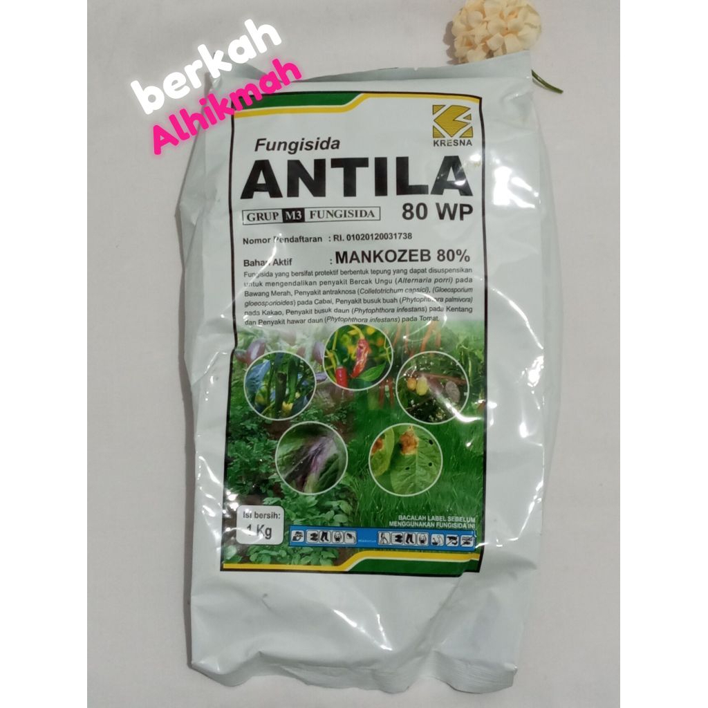 ANTILA