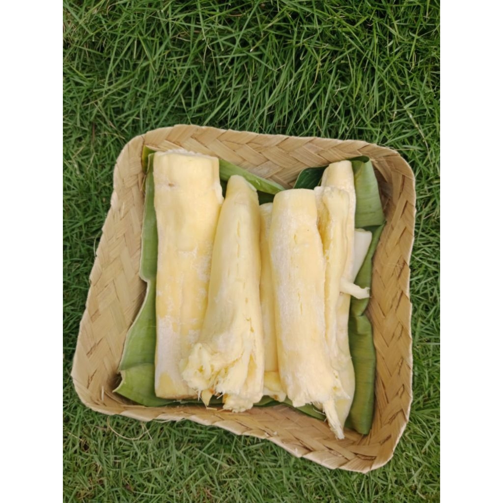 

Tape Singkong Peuyeum Singkong Manis legit Pulen 500gr Makanan Tradisional Khas Bandung