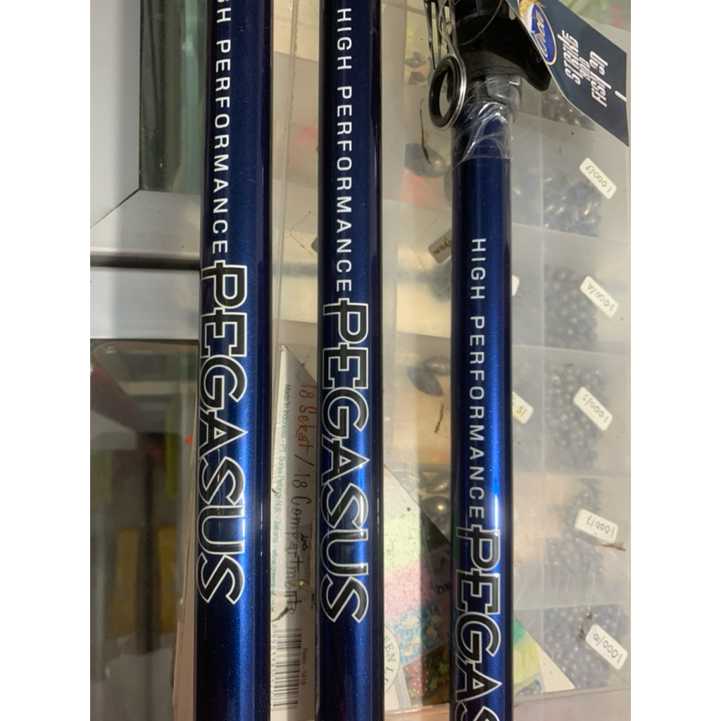 Joran pasiran pegasus