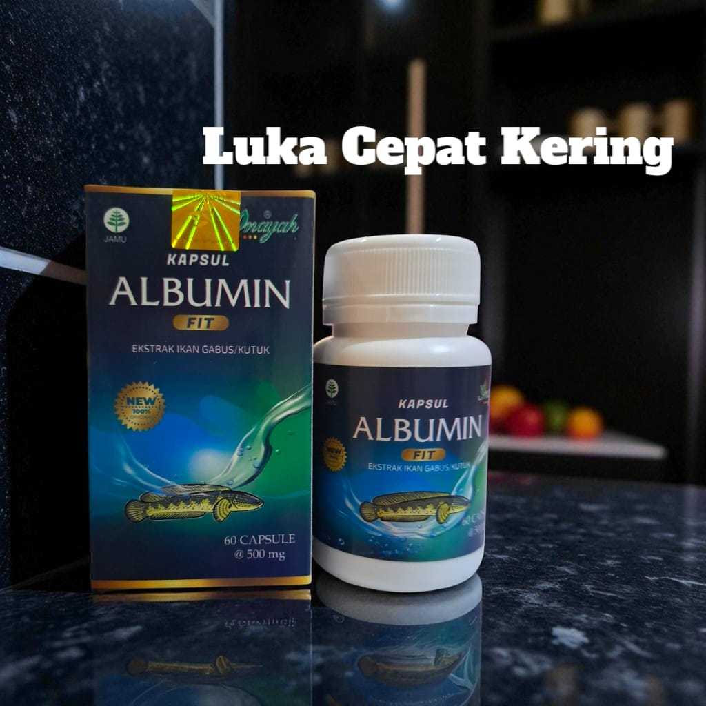 Albumin Fit Original Mempercepat Penyembuhan Luka