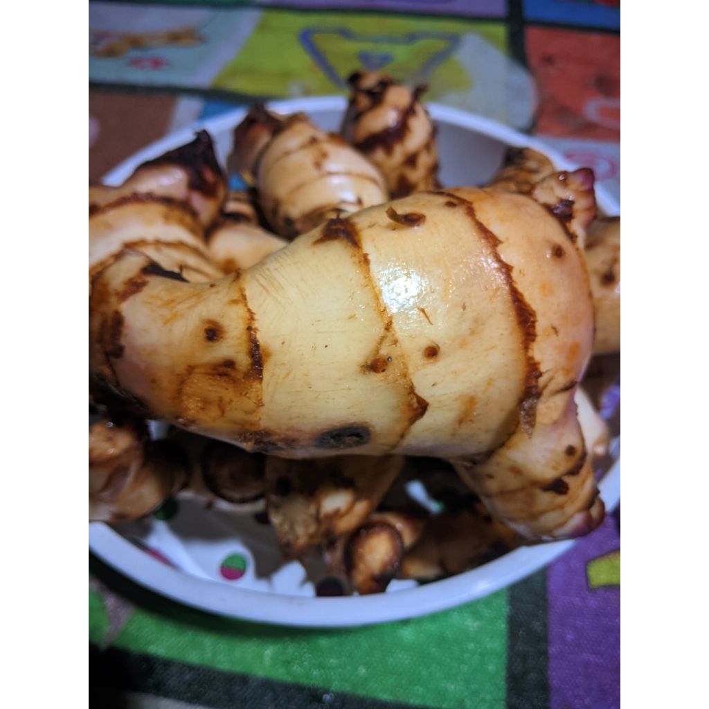 

Umbi-umbian umbi ganyong merah segar dan bersih 1kg