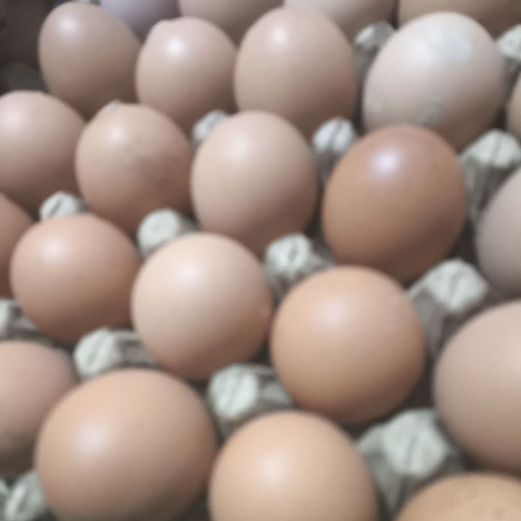 

Telur ayam per butir