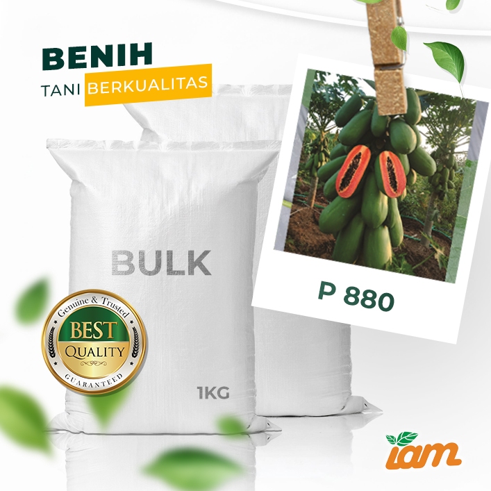 

BULK 1kg – pepaya california F1 (P 880)