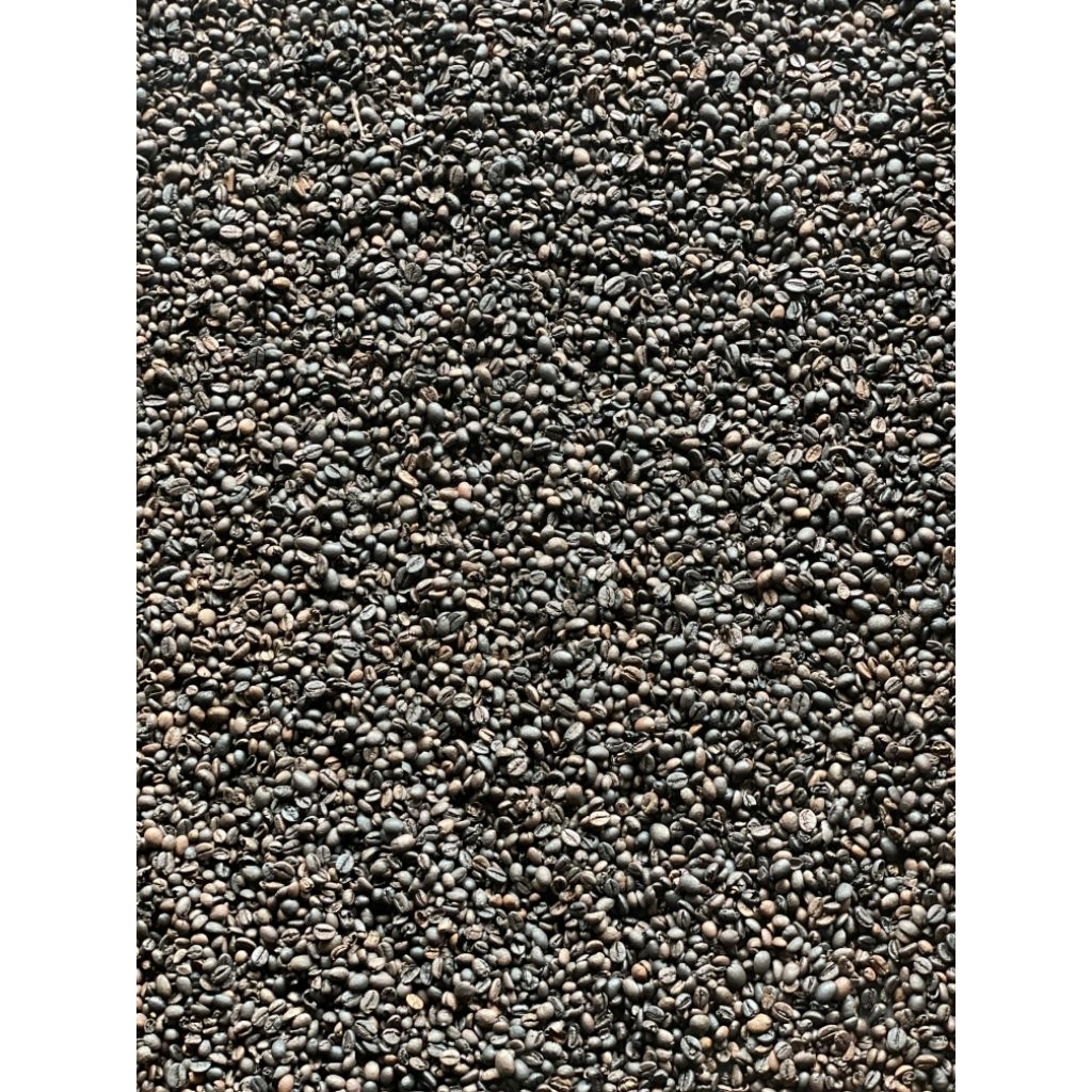 

green bean kopi robusta asalan 1 kg