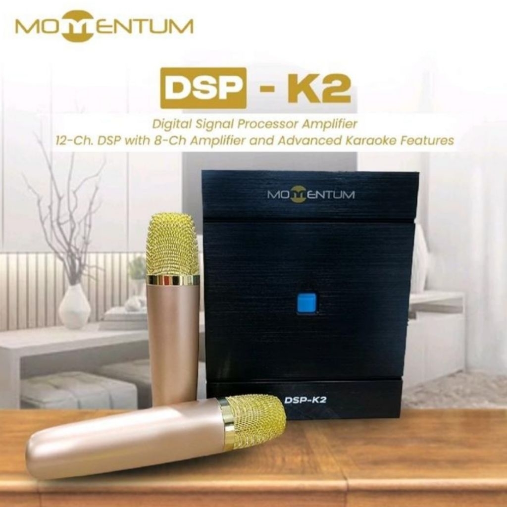 PROCESSOR DSP MOMENTUM KAROKE DSP MOMENTUM K2 DSP MOMENTUM 12 CHANNEL DIGITAL SIGNAL PROCESSOR AMPLI