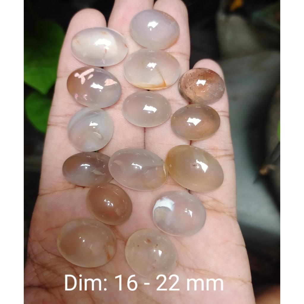 BATU AKIK CEMPAKA PUTIH BORONGAN MURAH NATURAL ASLI cek batu lainnya yaman api wulung opal bacan per